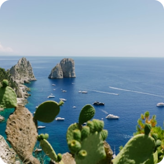 北京市技术科技股份有限公司