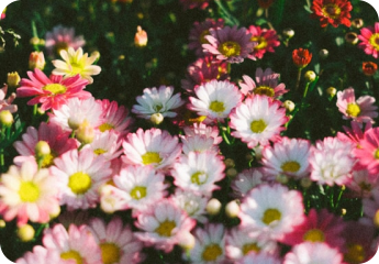 北京市技术科技股份有限公司