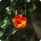 北京市技术科技股份有限公司