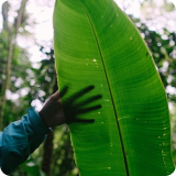 北京市技术科技股份有限公司