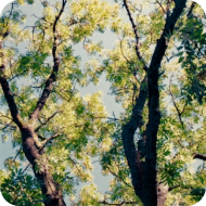 北京市技术科技股份有限公司