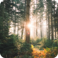 北京市技术科技股份有限公司