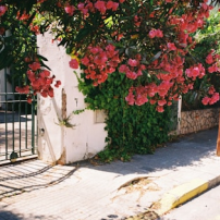 北京市技术科技股份有限公司