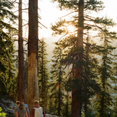 技术科技股份有限公司