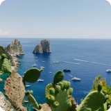 北京市技术科技股份有限公司