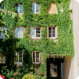 北京市技术科技股份有限公司