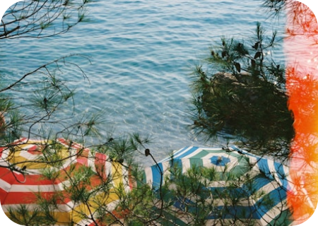 北京市技术科技股份有限公司