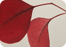 北京市技术科技股份有限公司